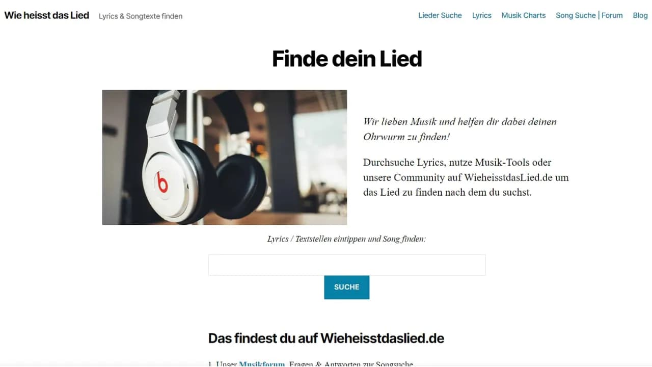 Lied erkennen: So findest du jeden Song sofort (Anleitung)